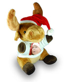 Reindeer Bear & Shirt